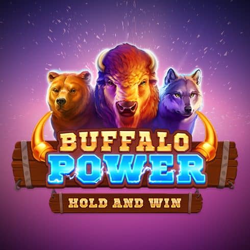 Buffalo Power Slot bei Infinity Casino DE